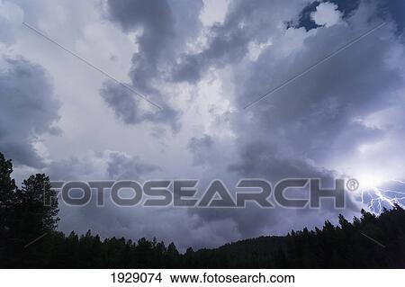 lightning bolt and storm clouds over forest at twilight; new mexico, usa View Large Photo Image Picture - lightning bolt and storm clouds over forest at twilight; new mexico, usa. Fotosearch