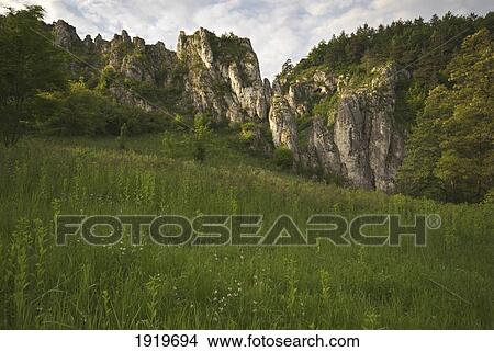 Limestone Valley; Bolechowice, Malopolska, Poland View Large Photo Image Picture - Limestone Valley; Bolechowice, Malopolska, Poland. Fotosearch