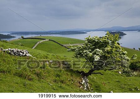 Stock Photography - Lough Corrib Near Cong; County Mayo, Ireland. Fotosearch