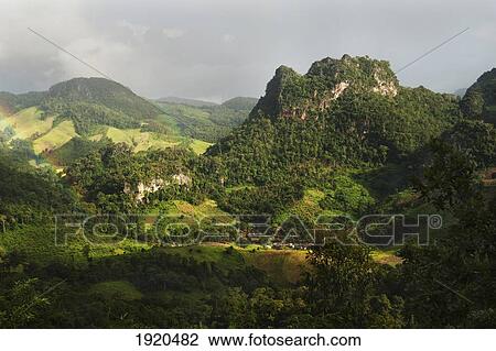 lush mountainous landscape under a cloudy sky; mae hia, chiang mai province, thailand View Large Photo Image Stock Image - lush mountainous landscape under a cloudy sky; mae hia, chiang mai province, thailand. Fotosearch