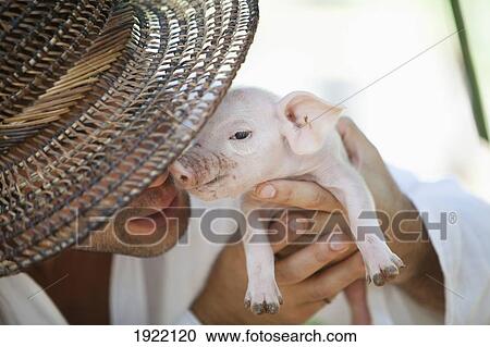 Stock Image - man holding up a baby pig; siquijor, philippines. Fotosearch