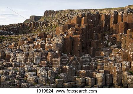 Natural Basalt Column Rock Formations; Giant'S Causeway, County Antrim, Northern Ireland View Large Photo Image Picture - Natural Basalt Column Rock Formations; Giant'S Causeway, County Antrim, Northern Ireland. Fotosearch