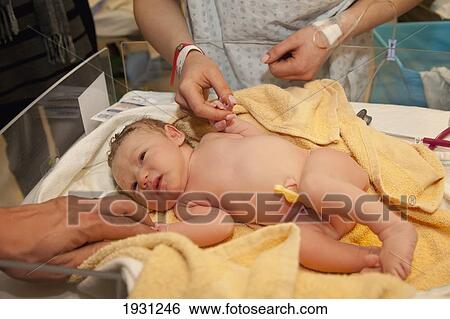 new mother and father admiring their newborn baby; edmonton, alberta, canada View Large Photo Image Stock Photograph - new mother and father admiring their newborn baby; edmonton, alberta, canada. Fotosearch