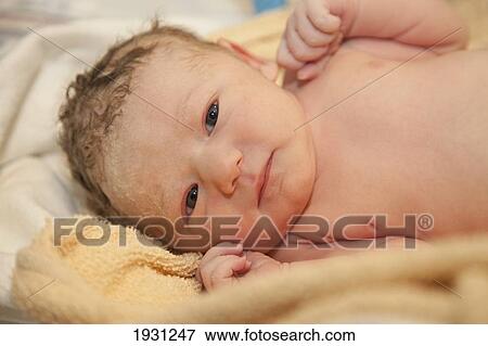 Stock Photo - newborn baby girl in incubator; edmonton, alberta, canada. Fotosearch