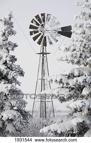 old windmill and trees covered with snow and frost; calgary, alberta, canada View Large Photo Image Picture - old windmill and trees covered with snow and frost; calgary, alberta, canada. Fotosearch