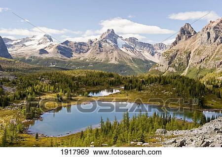 opabin plateau in lake o'hara region; yoho national park, british columbia, canada View Large Photo Image Stock Photo - opabin plateau in lake o'hara region; yoho national park, british columbia, canada. Fotosearch