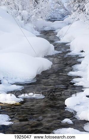 Stock Photo - open running creek with snow covered banks and frost on the trees; lake louise, alberta, canada. Fotosearch