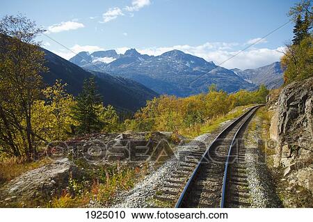 railroad along white pass & yukon route; skagway, alaska, usa View Large Photo Image Stock Image - railroad along white pass & yukon route; skagway, alaska, usa. Fotosearch