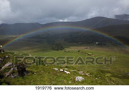 Rainbow Over Irish Landscape; Moll'S Gap, Killarney, County Kerry, Ireland View Large Photo Image Stock Photograph - Rainbow Over Irish Landscape; Moll'S Gap, Killarney, County Kerry, Ireland. Fotosearch