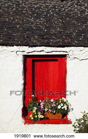 Red Window Shutters On Cottage; Ballinskelligs, County Kerry, Ireland View Large Photo Image Stock Image - Red Window Shutters On Cottage; Ballinskelligs, County Kerry, Ireland. Fotosearch