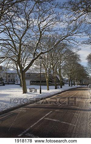 road in winter; whitburn, tyne and wear, england View Large Photo Image Stock Photo - road in winter; whitburn, tyne and wear, england. Fotosearch