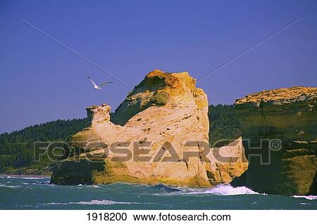 Stock Image - rocky coast of cape kiwanda state natural area; pacific city, oregon, usa. Fotosearch