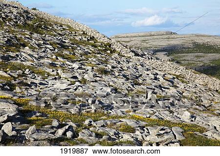 Stock Photo - Rocky Karst-Landscape; The Burren, County Clare, Ireland. Fotosearch