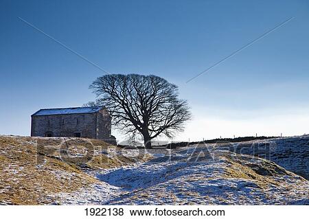 shed in snowy landscape; yorkshire dales, england View Large Photo Image Stock Photo - shed in snowy landscape; yorkshire dales, england. Fotosearch