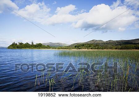 Stock Image - Shoreline Of Lough Gill; Sligo, County Sligo, Ireland. Fotosearch