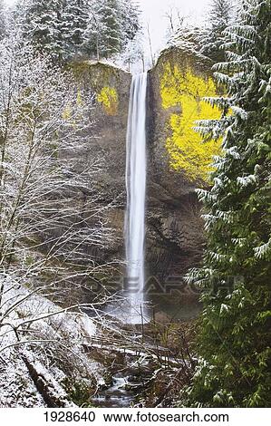 snow adds beauty to latourell falls, columbia river gorge national scenic area; oregon, united states of america View Large Photo Image Stock Image - snow adds beauty to latourell falls, columbia river gorge national scenic area; oregon, united states of america. Fotosearch