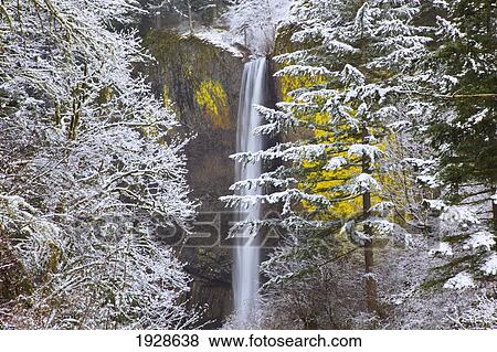 snow adds beauty to latourell falls, columbia river gorge national scenic area; oregon, united states of america View Large Photo Image Stock Photo - snow adds beauty to latourell falls, columbia river gorge national scenic area; oregon, united states of america. Fotosearch