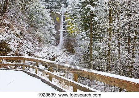 snow adds beauty to latourell falls, columbia river gorge national scenic area; oregon, united states of america View Large Photo Image Stock Photo - snow adds beauty to latourell falls, columbia river gorge national scenic area; oregon, united states of america. Fotosearch
