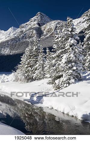 snow-covered evergreens by stream; lake louise, alberta, canada View Large Photo Image Stock Photo - snow-covered evergreens by stream; lake louise, alberta, canada. Fotosearch