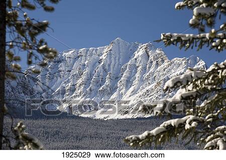 snow-covered mountain; lake louise, alberta, canada View Large Photo Image Stock Photo - snow-covered mountain; lake louise, alberta, canada. Fotosearch