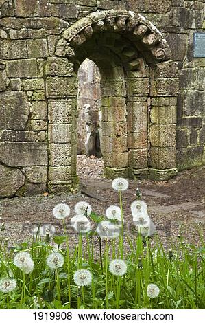 St. Patrick'S Church Ruins; Inchagoill Island, County Mayo, Ireland View Large Photo Image Stock Photo - St. Patrick'S Church Ruins; Inchagoill Island, County Mayo, Ireland. Fotosearch