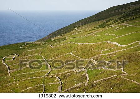 Stone Barriers On Coastal Field; Ballinskelligs, County Kerry, Ireland View Large Photo Image Stock Image - Stone Barriers On Coastal Field; Ballinskelligs, County Kerry, Ireland. Fotosearch