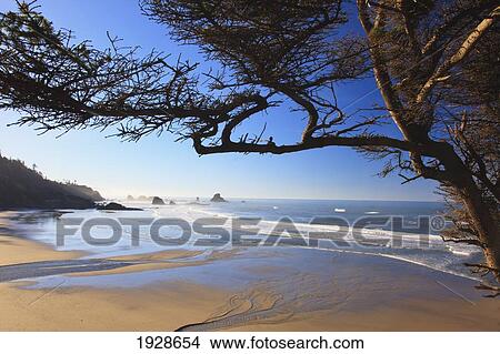 Picture - sunrise on indian beach; oregon, united states of america. Fotosearch
