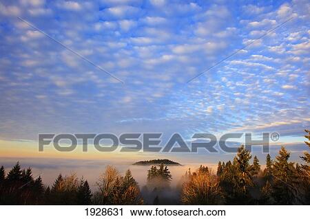 Stock Image - sunrise through morning fog; willamette valley, oregon, united states of america. Fotosearch