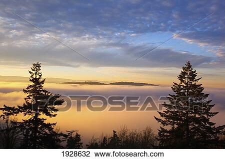Stock Image - sunrise through morning fog; willamette valley, oregon, united states of america. Fotosearch