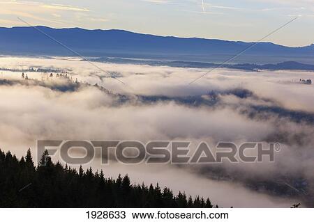 sunrise through morning fog; willamette valley, oregon, united states of america View Large Photo Image Stock Image - sunrise through morning fog; willamette valley, oregon, united states of america. Fotosearch