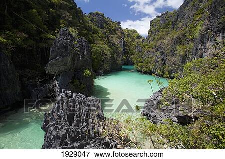 the small lagoon on miniloc island, near el nido; bacuit archipelago, palawan, philippines View Large Photo Image Stock Photo - the small lagoon on miniloc island, near el nido; bacuit archipelago, palawan, philippines. Fotosearch