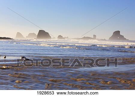 Stock Image - tide at indian beach; oregon, united states of america. Fotosearch