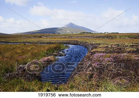 Water Source In Irish Bog; Achill Island, County Mayo, Ireland View Large Photo Image Stock Photograph - Water Source In Irish Bog; Achill Island, County Mayo, Ireland. Fotosearch