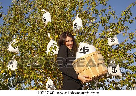 Stock Image - woman harvesting money bags from money tree; edmonton, alberta, canada. Fotosearch