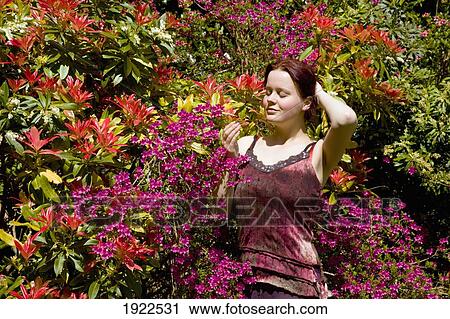 woman in gardens at derrynane house; county kerry, ireland View Large Photo Image Stock Image - woman in gardens at derrynane house; county kerry, ireland. Fotosearch
