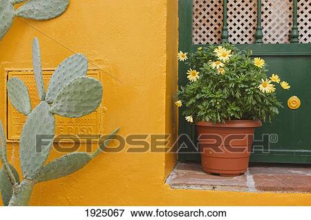 Stock Photo - yellow building with a green door, flower pot and a cactus; competa, la axarquía, malaga province, spain. Fotosearch