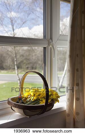 A Basket Of Flowers On A Window Sill; Northumberland England View Large Photo Image Stock Image - A Basket Of Flowers On A Window Sill; Northumberland England. Fotosearch