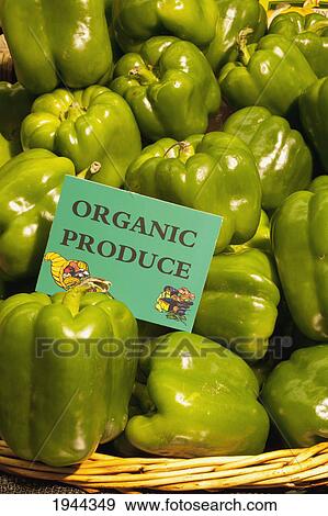 Stock Photo - a basket of green peppers with a sign labeled organic produce; waterloo quebec canada. Fotosearch