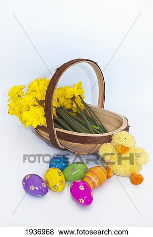 A Basket Of Yellow Flowers And Plastic Easter Eggs With A Stuffed Yellow Chick; Northumberland England View Large Photo Image Stock Photo - A Basket Of Yellow Flowers And Plastic Easter Eggs With A Stuffed Yellow Chick; Northumberland England. Fotosearch