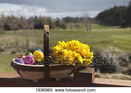 A Basket Of Yellow Flowers And Plastic Easter Eggs; Northumberland England View Large Photo Image Stock Photography - A Basket Of Yellow Flowers And Plastic Easter Eggs; Northumberland England. Fotosearch