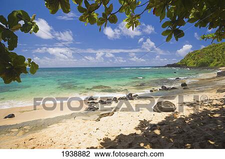 A Beach And The Ocean; Princetown Kauai Hawaii United States Of America View Large Photo Image Stock Image - A Beach And The Ocean; Princetown Kauai Hawaii United States Of America. Fotosearch