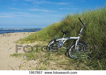 Stock Photo - a bicycle lays in the long grass on the beach with a woman walking in the distance; northumberland england. Fotosearch