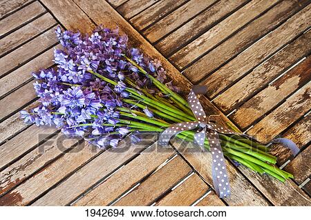 Picture - A Bundle Of Bluebells Wrapped With Ribbon; Northumberland England. Fotosearch