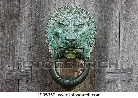 A Copper Lion Door Knocker On A Wooden Door; Northumberland, England View Large Photo Image Stock Image - A Copper Lion Door Knocker On A Wooden Door; Northumberland, England. Fotosearch