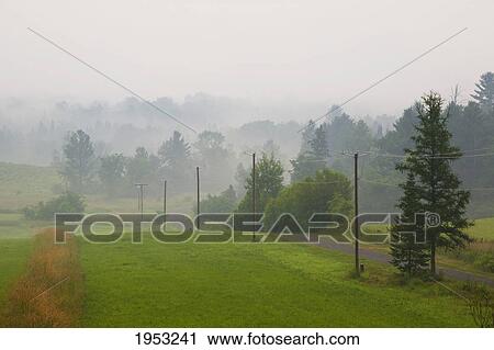 Stock Image - a country road in the early morning fog; iron hill quebec canada. Fotosearch
