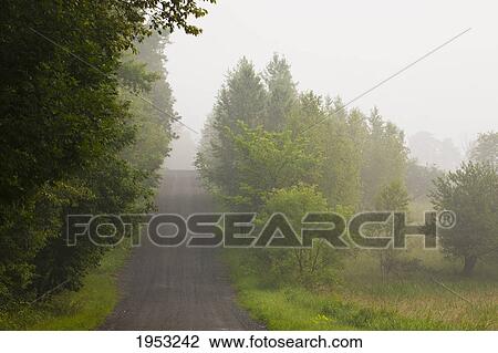 a country road in the early morning fog; iron hill quebec canada View Large Photo Image Stock Image - a country road in the early morning fog; iron hill quebec canada. Fotosearch