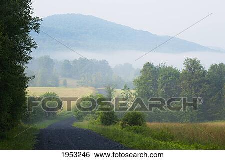 Stock Photograph - a country road in the early morning fog; iron hill quebec canada. Fotosearch