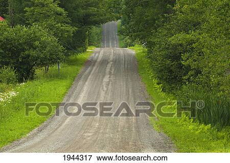 Stock Photo - a dirt road with lush trees on either side; fulford quebec canada. Fotosearch