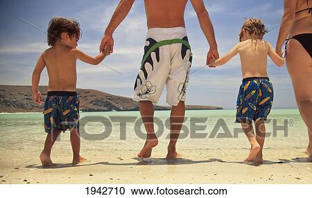 A Family Walking On The Beach At Los Islotes National Marine Park Espiritu Santo Island; La Paz Baja California Mexico View Large Photo Image Stock Image - A Family Walking On The Beach At Los Islotes National Marine Park Espiritu Santo Island; La Paz Baja California Mexico. Fotosearch