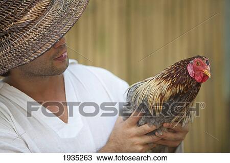A Farmer Holds An Adult Hen; Bohol, Philippines View Large Photo Image Stock Image - A Farmer Holds An Adult Hen; Bohol, Philippines. Fotosearch